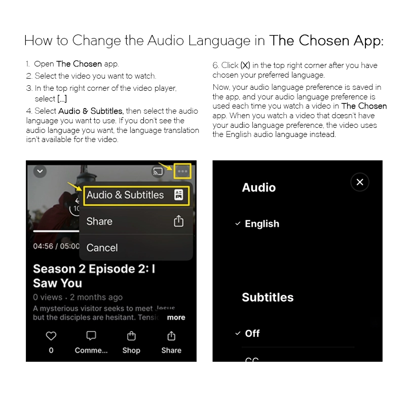 how to change the audio language